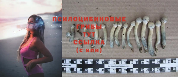 таблы Козловка