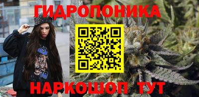 PSILOCYBIN Ирбит