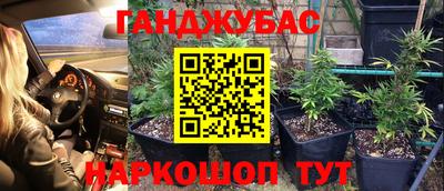 крисы Беслан