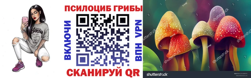 Псилоцибиновые грибы прущие грибы  Купить  Ленинск-Кузнецкий 