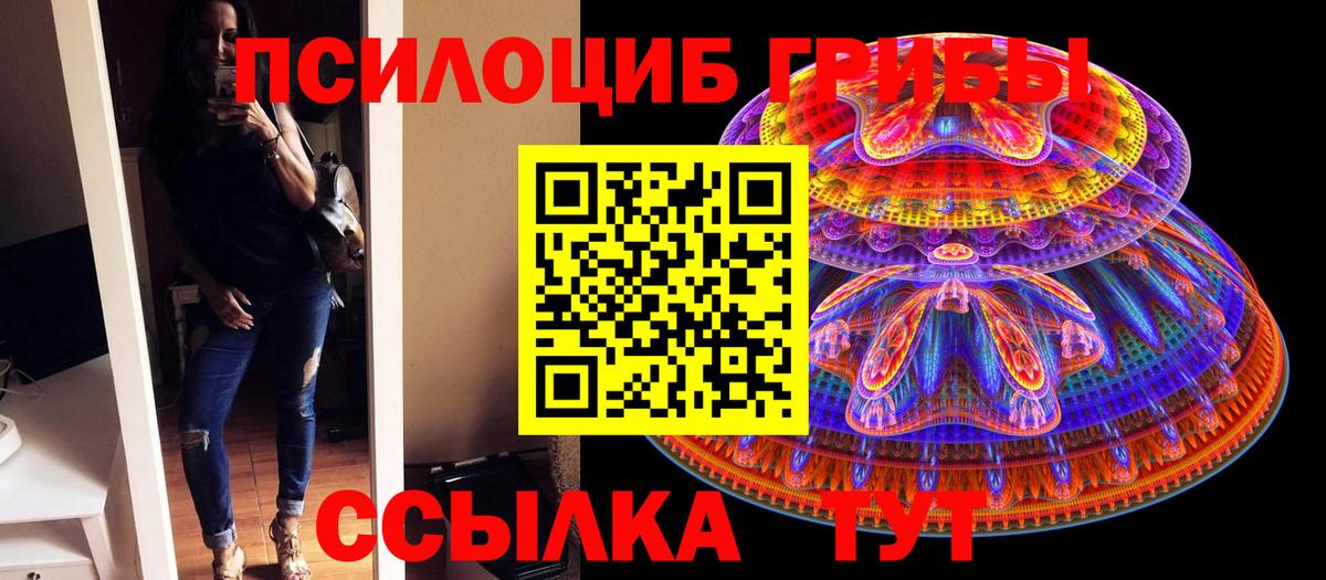 Псилоцибиновые грибы мицелий  Псилоцибиновые грибы прущие грибы  Вход с VPN  Ленинск-Кузнецкий 